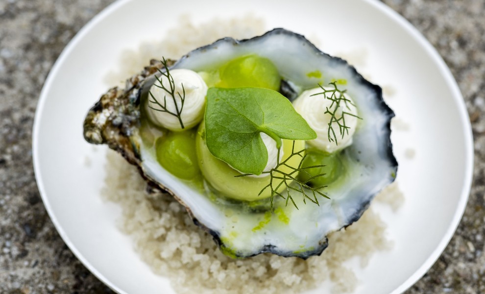 Oester