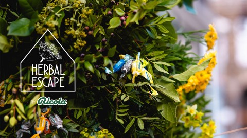Herbal escape Ricola